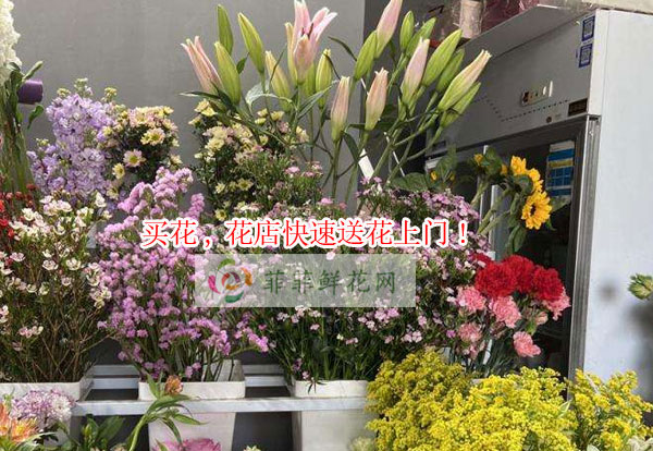 景德镇珠山区买花,景德镇珠山区花店快速送花上门!